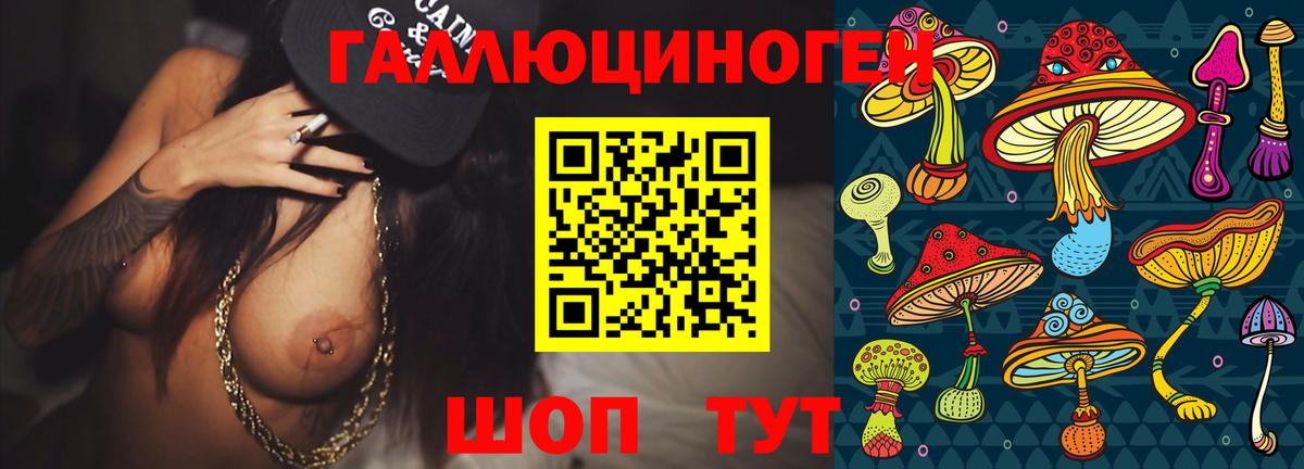 Псилоцибиновые грибы мицелий Новосибирск